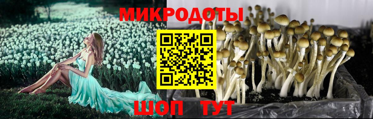 Псилоцибиновые грибы мухоморы  Вход с VPN  Кинешма  Галлюциногенные грибы мицелий 